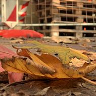 Bg Bau: Im Herbst steigt das Unfallrisiko auf Baustellen