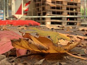 Bg Bau: Im Herbst steigt das Unfallrisiko auf Baustellen