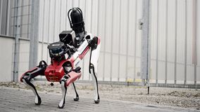 Ciborius: Künstliche Intelligenz in der Sicherheitsbranche