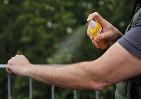 Professioneller Insektenschutz für Outdoor-Worker