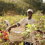 Bierbaum Proenen: Nachhaltige Arbeitskleidung