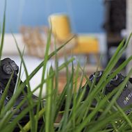 »Adventure« erweitert das Produktportfolio