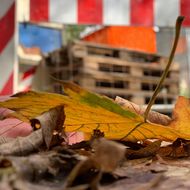 BG BAU: Sicher durch die dunkle Jahreszeit kommen