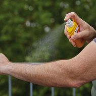 Unerlässlich für Outdoor-Worker: Schutz vor Zecken und Mücken